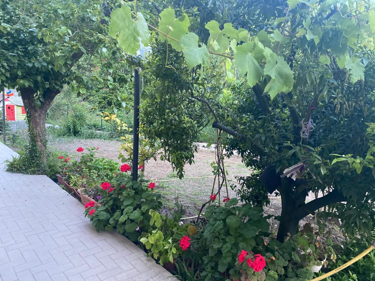 Villa Proprieta Intero Allogio Con Parcheggio Sestri Levante Exterior foto